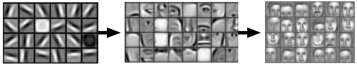 Facial Features