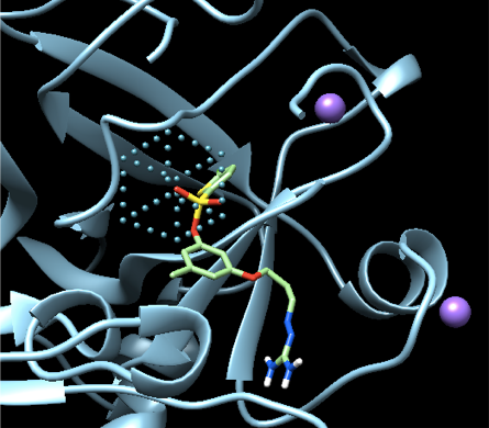 Sulfonamide Detector 2